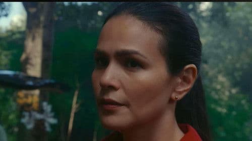 The Caretakers Bild 2