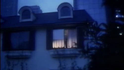 モモコワンダーランド　ストレンジハウス Bild 2