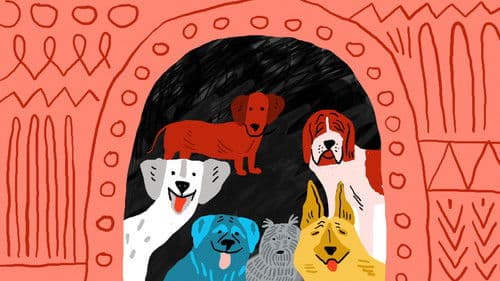 Призори из живота џукца Bild 1