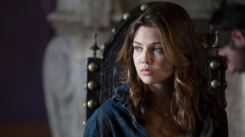 American Pets Bild 5