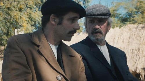 Ombuaren itzala Bild 1