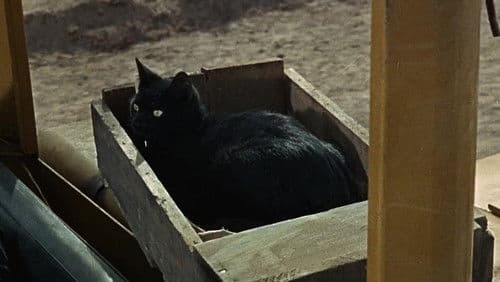 In 48 Stunden Bild 5