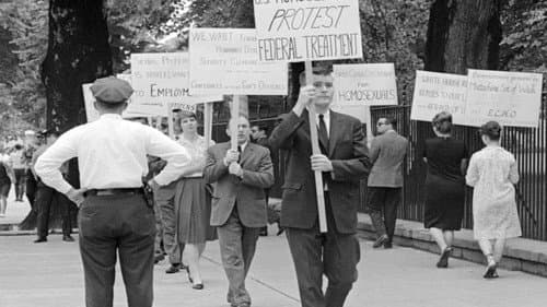 The Lavender Scare Bild 7