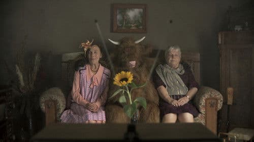 Ottilias Ochse Bild 1