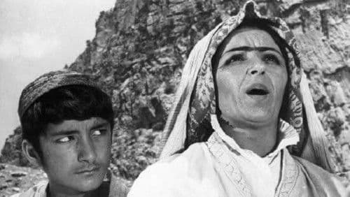 Лето 1943 года Bild 1