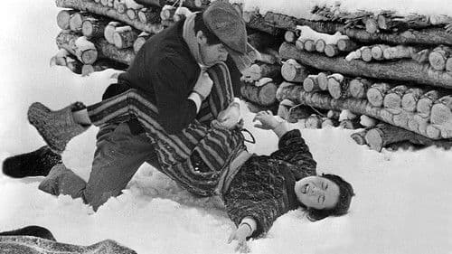 越後つついし親不知 Bild 1