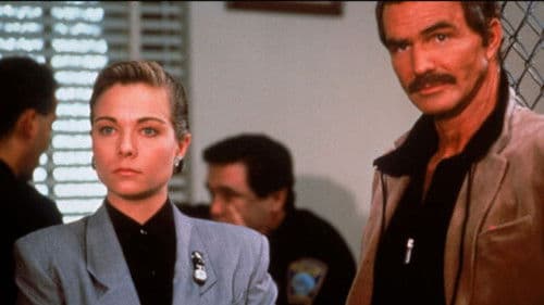 Die Anwältin Bild 4