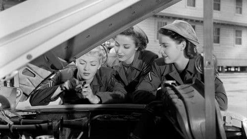 Keep Your Powder Dry Bild 4