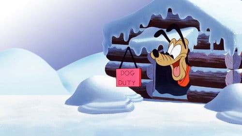 Pluto der Rettungshund Bild 3