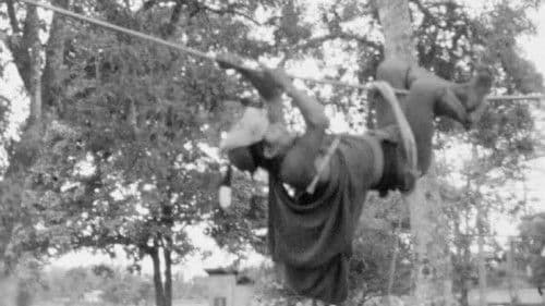 Aka and Daffla Dances Bild 1