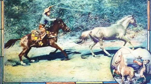 The Long, Long Trail Bild 1