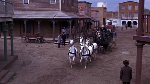 Die Stunde der Aasgeier Bild 2