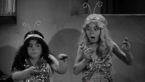 Der geheime Rächerclub Bild 1