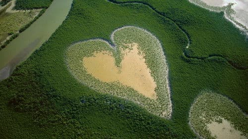 Nature : pour une réconciliation Bild 7