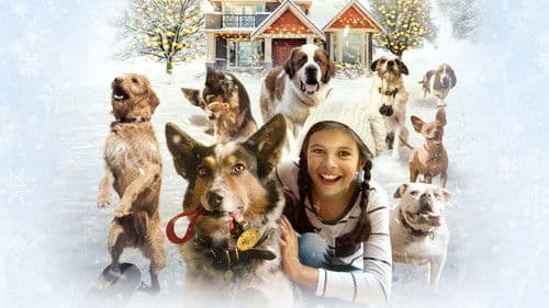 Hunde - Allein zu Haus Bild 5