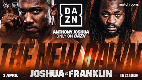 Anthony Joshua vs. Jermaine Franklin Bild 1