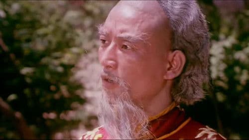 Die Rache der gelben Spinne Bild 3