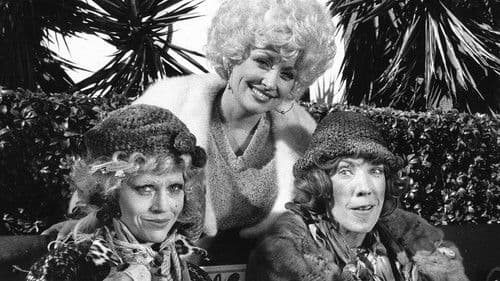 Lily: Sold Out Bild 1