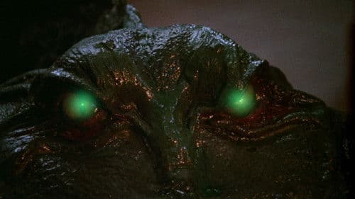 Don't Scream... Die - Spur in den Tod Bild 2