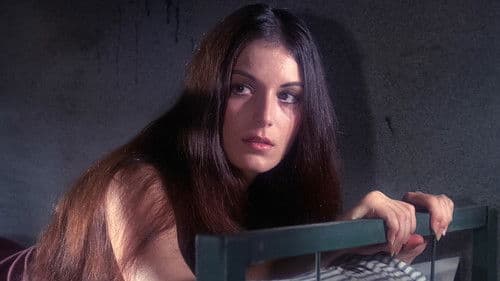 Big Doll House Bild 6