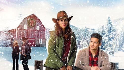 Ein Tierarzt zu Weihnachten Bild 1