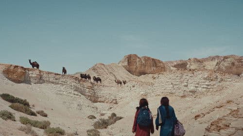 A Calling. From the Desert. To the Sea Bild 2