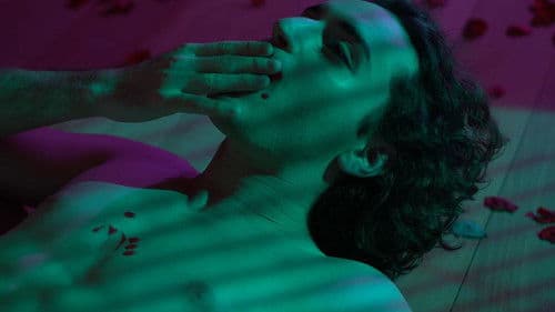 O Bosque dos Sonâmbulos Bild 1