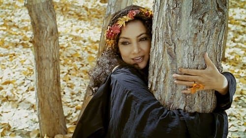 The Wishing Tree Bild 1