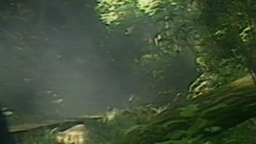 女狐怪奇伝説 妖女メロン Bild 1