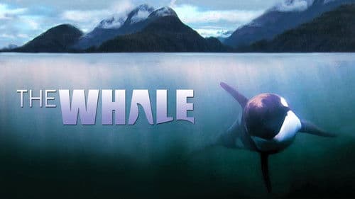 The Whale Bild 1