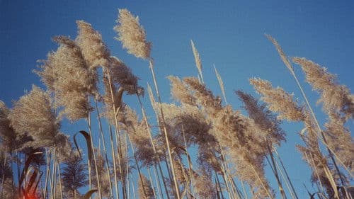 Remember This Place Bild 2