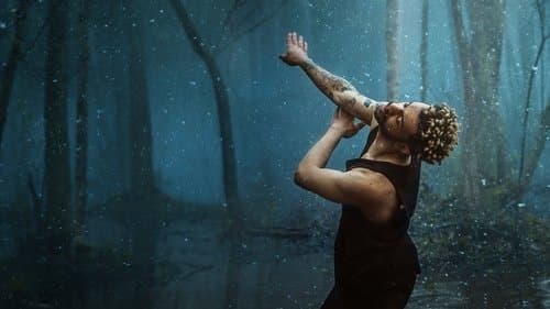 Dance Brothers Bild 1