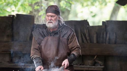 Halvdan, der Wikinger Bild 6