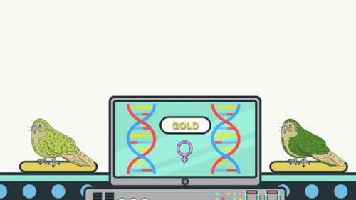 What if...? Genomics in Aotearoa Bild 2