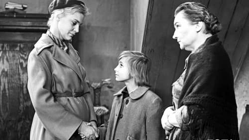 Świadectwo urodzenia Bild 6