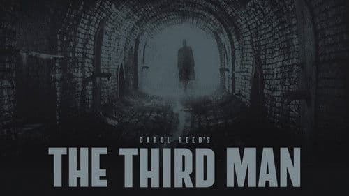 The Third Man Bild 5