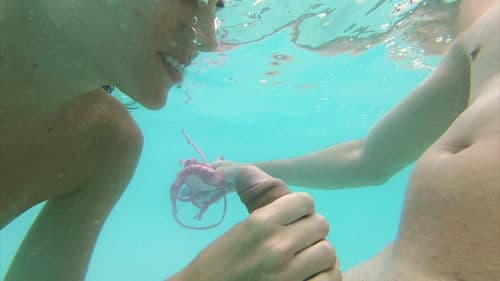 My Sweet Apple Vol.5 Bild 7