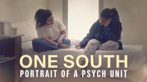 One South: Portrait of a Psych Unit Bild 2