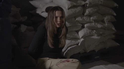 Scam To Horror Bild 1