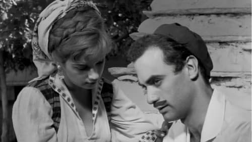 Μαρία Πενταγιώτισσα Bild 5