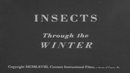 Insects Through the Winter Bild 1