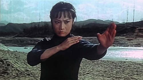 Lady Whirlwind Bild 2