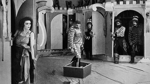 Die Bergkatze Bild 4