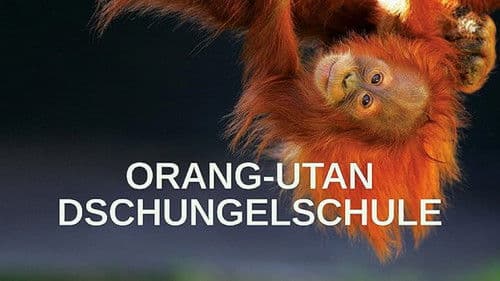 Orangutan Jungle School – Kindergarten mal anders Bild 4