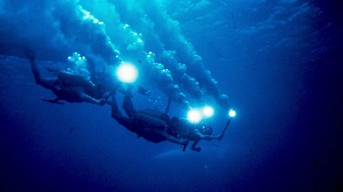 Die schweigende Welt Bild 1