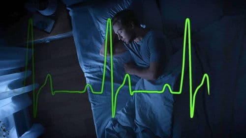 Aux frontières du sommeil Bild 4