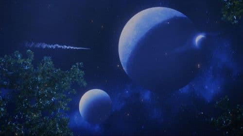 Kiss Me First Bild 5