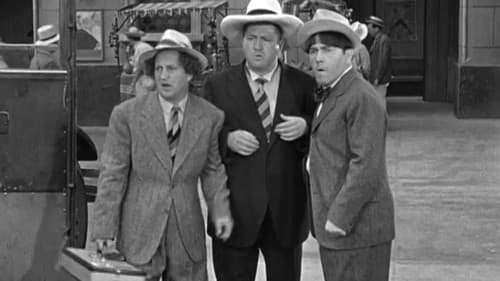 What's the Matador? Bild 2