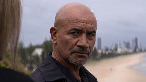 Sons of Summer Bild 5