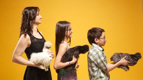 Fous des animaux Bild 5